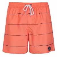 Oneill Cont Shorts  Мъжки плувни шорти и клинове