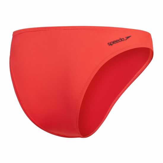 Speedo Scp Bottom 610 Speedo Scp Bottom 610