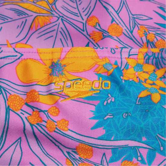 Speedo Alv Pt 2Pc Ld99  