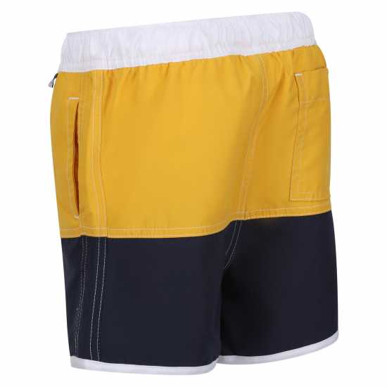 Regatta Sergio Swim Shorts  