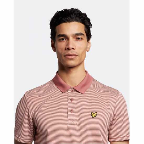 Lyle And Scott Блуза С Яка Golf Microstripe Polo Shirt Розово кафяво Lyle And Scott Блуза С Яка Golf Microstripe Polo Shirt Розово кафяво