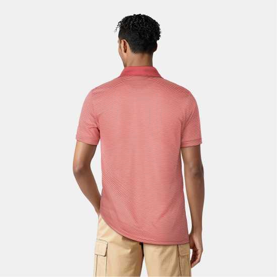 Lyle And Scott Блуза С Яка Golf Microstripe Polo Shirt Топло розово Lyle And Scott Блуза С Яка Golf Microstripe Polo Shirt Топло розово