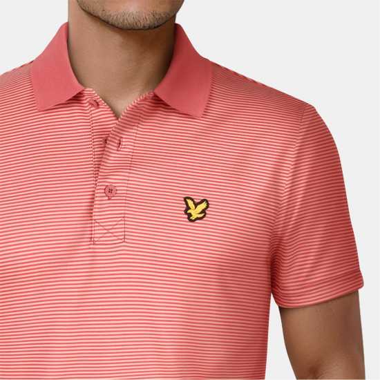 Lyle And Scott Блуза С Яка Golf Microstripe Polo Shirt Топло розово Lyle And Scott Блуза С Яка Golf Microstripe Polo Shirt Топло розово