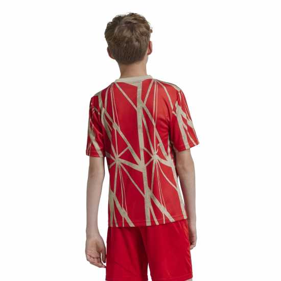 Adidas Bayern Munich Pre Match Shirt 2024 2025 Juniors Adidas Bayern Munich Pre Match Shirt 2024 2025 Juniors