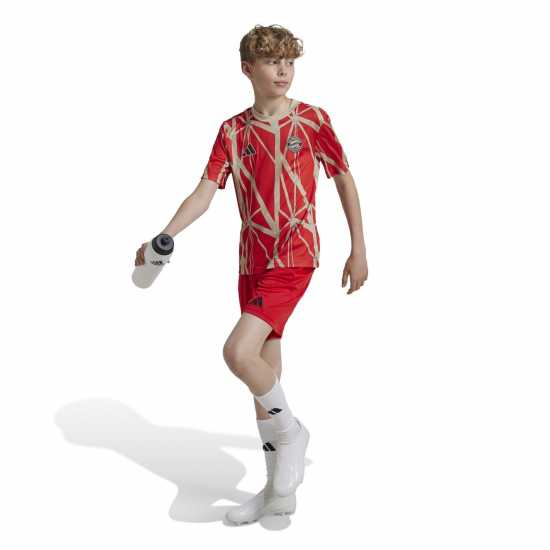 Adidas Bayern Munich Pre Match Shirt 2024 2025 Juniors Adidas Bayern Munich Pre Match Shirt 2024 2025 Juniors