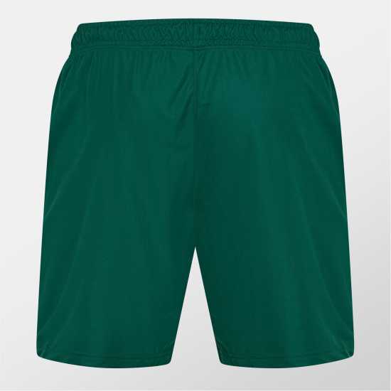 Дамски Къси Шорти За Тренировка Ireland Training Shorts 2024 Mens  