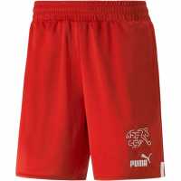 Puma Switzerland Shorts Replica Adults
