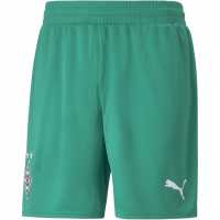 Puma Borussia Monchengladbach Shorts Replica Adults Pepper Green Мъжки къси панталони