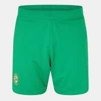 Футболни тренировъчни долнища Castore Ireland Home Shorts 2024 Adults Castore Ireland Home Shorts 2024 Adults Футболни тренировъчни долнища