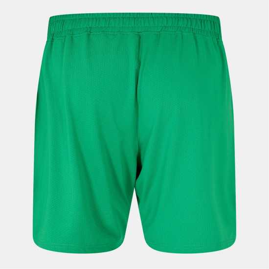 Футболни тренировъчни долнища Castore Ireland Home Shorts 2024 Adults Castore Ireland Home Shorts 2024 Adults Футболни тренировъчни долнища