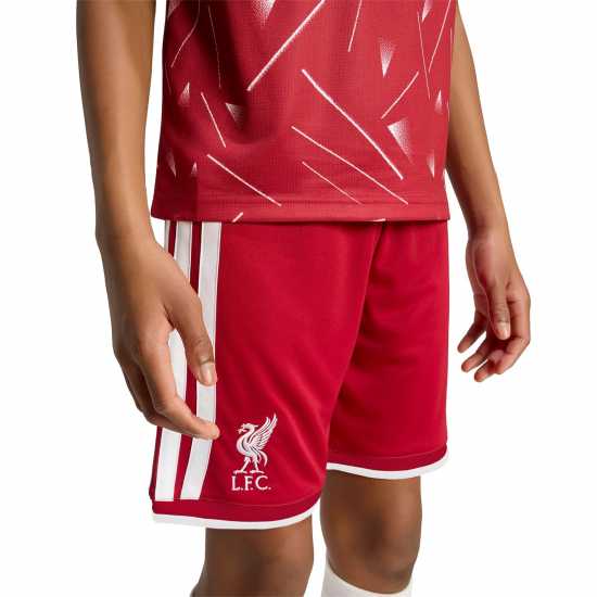 Adidas Liverpool Home Short 2026/27 Juniors Adidas Liverpool Home Short 2026/27 Juniors