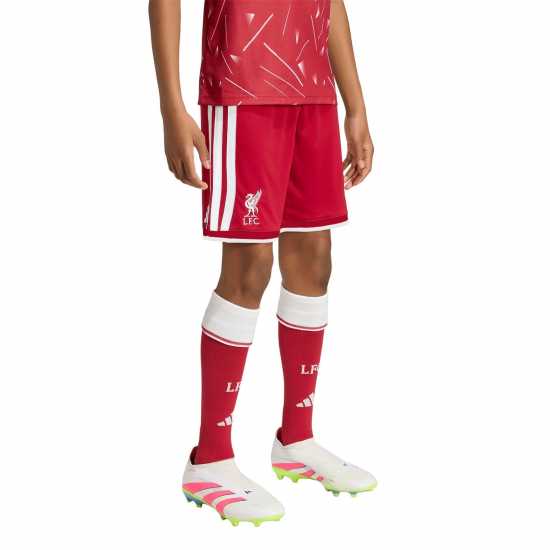 Adidas Liverpool Home Short 2026/27 Juniors Adidas Liverpool Home Short 2026/27 Juniors