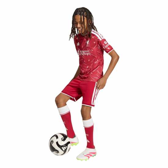 Adidas Liverpool Home Short 2026/27 Juniors Adidas Liverpool Home Short 2026/27 Juniors