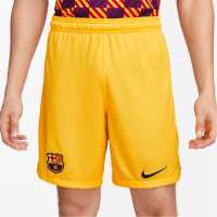 Nike Barcelona Fourth Senyera Shorts 2023 2024 Adults
