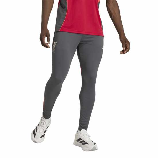 Adidas Lfc Trn Pant Sn63 Adidas Lfc Trn Pant Sn63