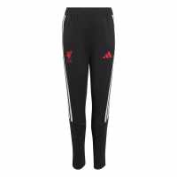 Adidas Liverpool Training Pant 2026/27 Juniors Adidas Liverpool Training Pant 2026/27 Juniors
