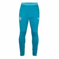 Castore Castore Wlvs Trngpnt Sn99  