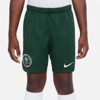 Nike Nigeria Home Match Shorts 2022 2023 Juniors Green Детски къси панталони