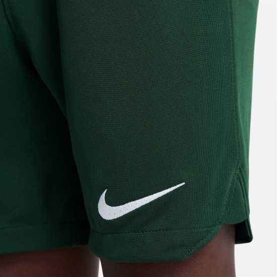 Nike Nigeria Home Match Shorts 2022 Juniors Green Детски къси панталони