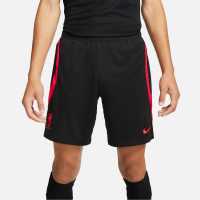 Nike Lfc Df Stk Shrt Sn99  Мъжки къси панталони