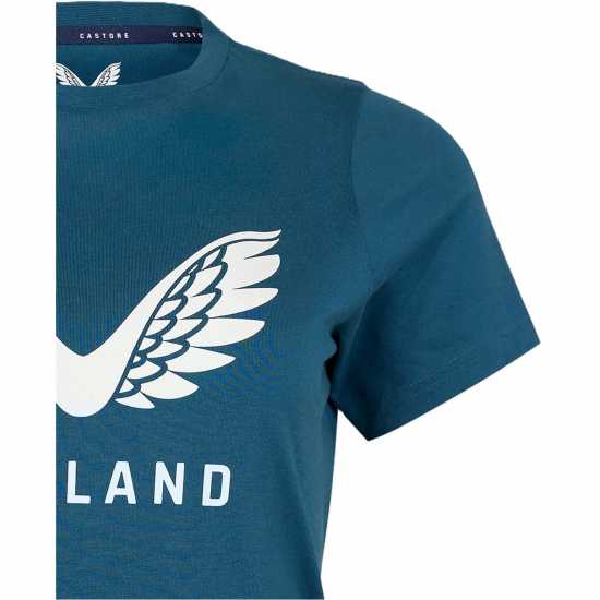 Castore Ecbcottont Ld99  