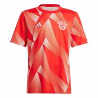 Adidas Bayern Munich Pre Match Shirt Juniors 2023 2024