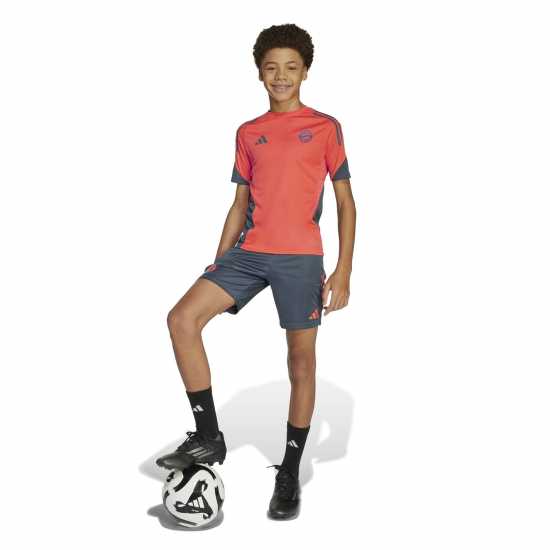 Детски тениски и фланелки Adidas Bayern Munich Tiro 25 Competition Training Shirt 2025 2026 Juniors Adidas Bayern Munich Tiro 25 Competition Training Shirt 2025 2026 Juniors Детски тениски и фланелки