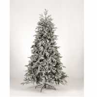 Lake Forest Fir Pe Tipped Snow Tree