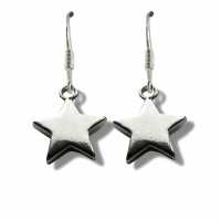 Star Drop Earrings Np-Fhstar