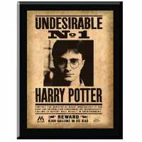 Harry Potter Undesirable Plaque  Трофеи
