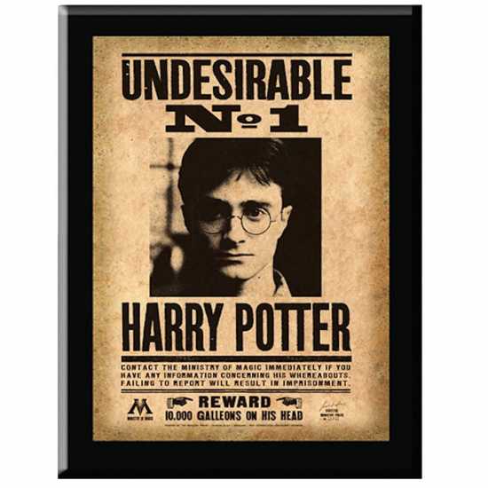Harry Potter Harry Potter Undesirable Plaque  Трофеи
