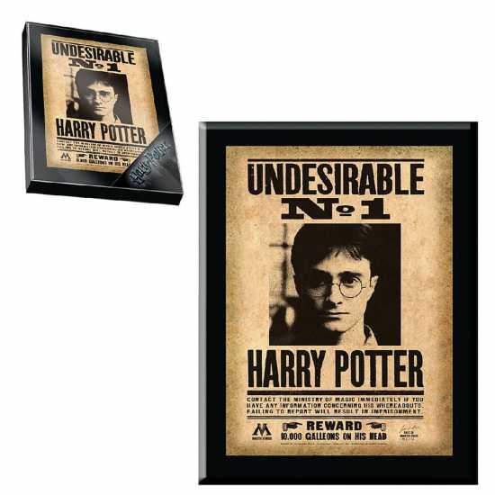 Harry Potter Harry Potter Undesirable Plaque  Трофеи
