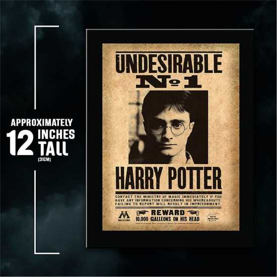 Harry Potter Harry Potter Undesirable Plaque  Трофеи