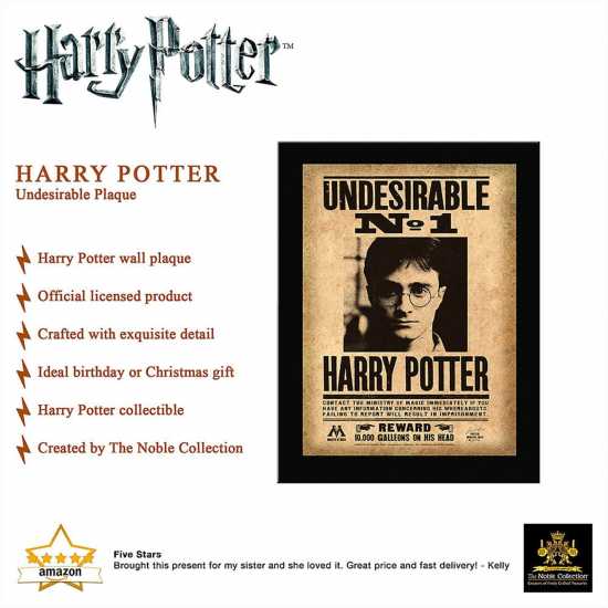 Harry Potter Harry Potter Undesirable Plaque  Трофеи