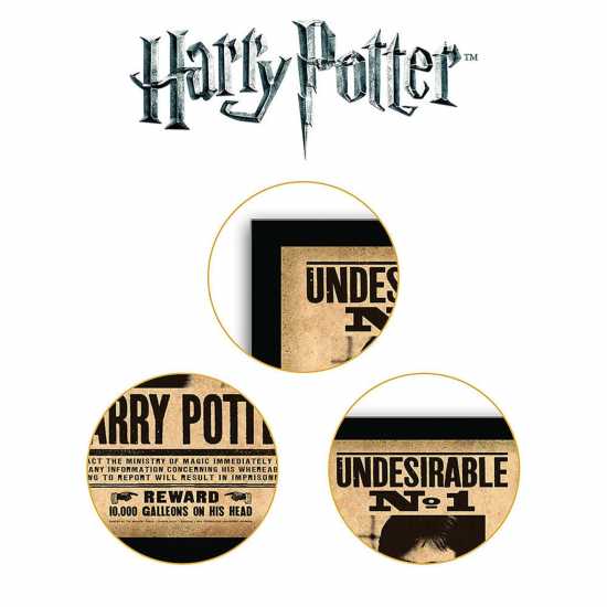 Harry Potter Undesirable Plaque  Трофеи