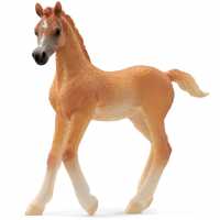 Horse Club Arab Foal Toy Figure, 5 To 12 Years, Br  Подаръци и играчки