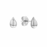 Calvin Klein Ladies  Stud Earrings 35000070