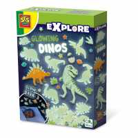 Explore Glowing Dinos Decorative Stickers