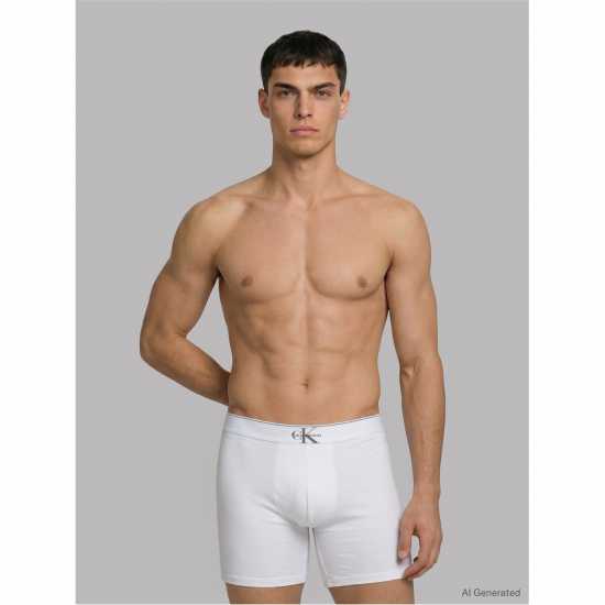 Calvin Bxr Brief 3Pk Sn63  