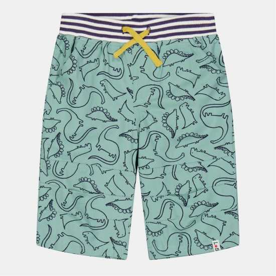 Lilly And Sid Dino Board Shorts  