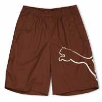 Puma Boy Bermudas Juniors Brown 