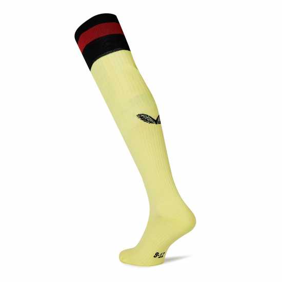 Castore Charlton Athletic Goalkeeper Home Socks Adults  Мъжки чорапи