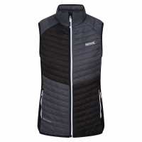 Trutton Gilet  