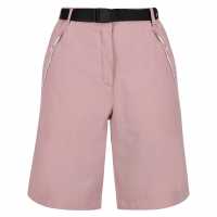 Bermuda Walking Shorts  