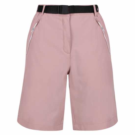 Bermuda Walking Shorts Bermuda Walking Shorts