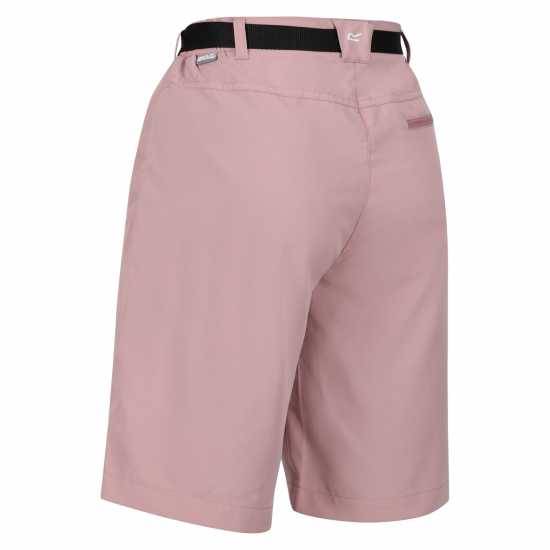 Bermuda Walking Shorts Bermuda Walking Shorts