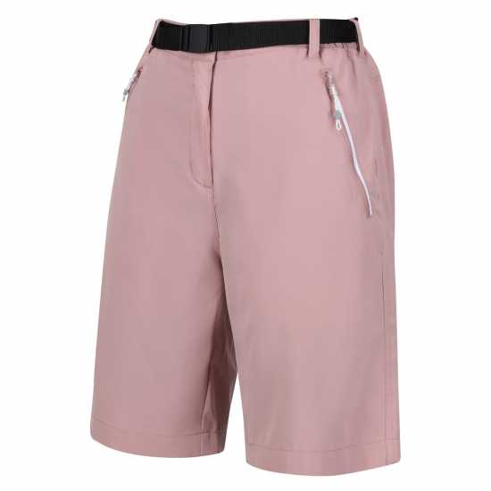 Bermuda Walking Shorts Bermuda Walking Shorts