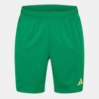Adidas Men's Goalkeeper Shorts Green 