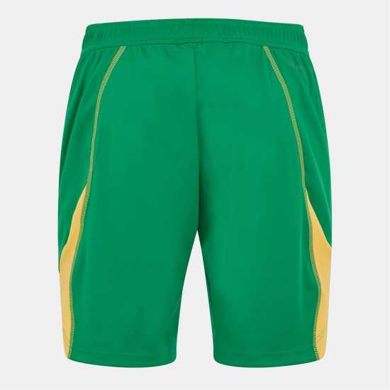 Adidas Men's Goalkeeper Shorts Green 