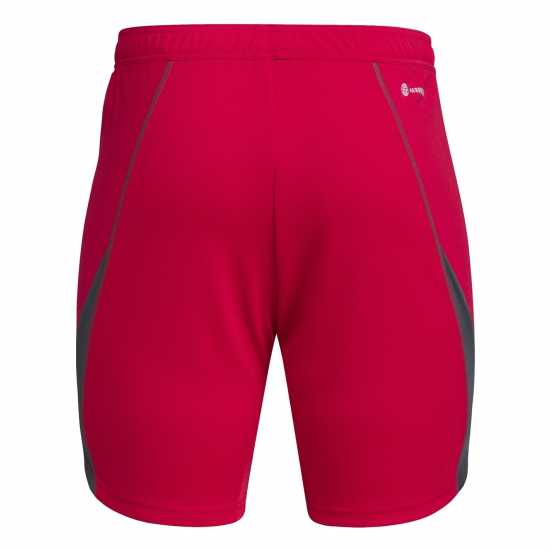 Вратарски ръкавици и облекло Adidas Tiro 23 Pro Goalkeeper Shorts TC Червено/T Тъмно сиво Adidas Tiro 23 Pro Goalkeeper Shorts TC Червено/T Тъмно сиво Вратарски ръкавици и облекло